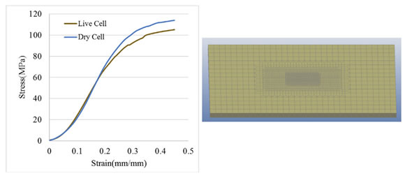 editor1530533574697164.jpg 1.jpg